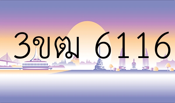 3ขฒ 6116